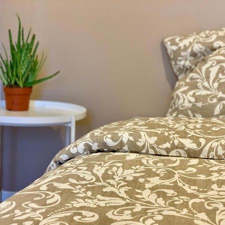Superbe Appartement Avec Parking Gratuit Sur Place Σαιν-Ντενί Εξωτερικό φωτογραφία